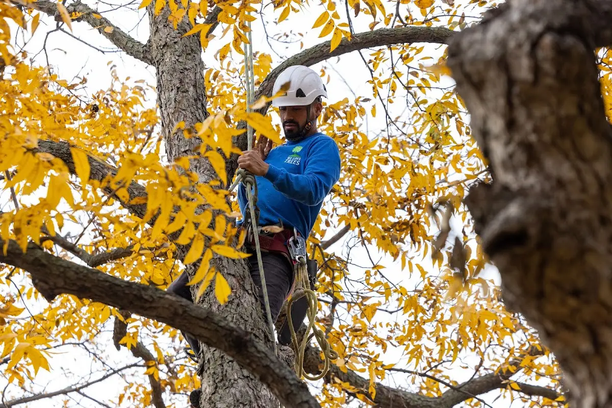 Skilled Storm Damage Cleanup crew working in Kennebunk