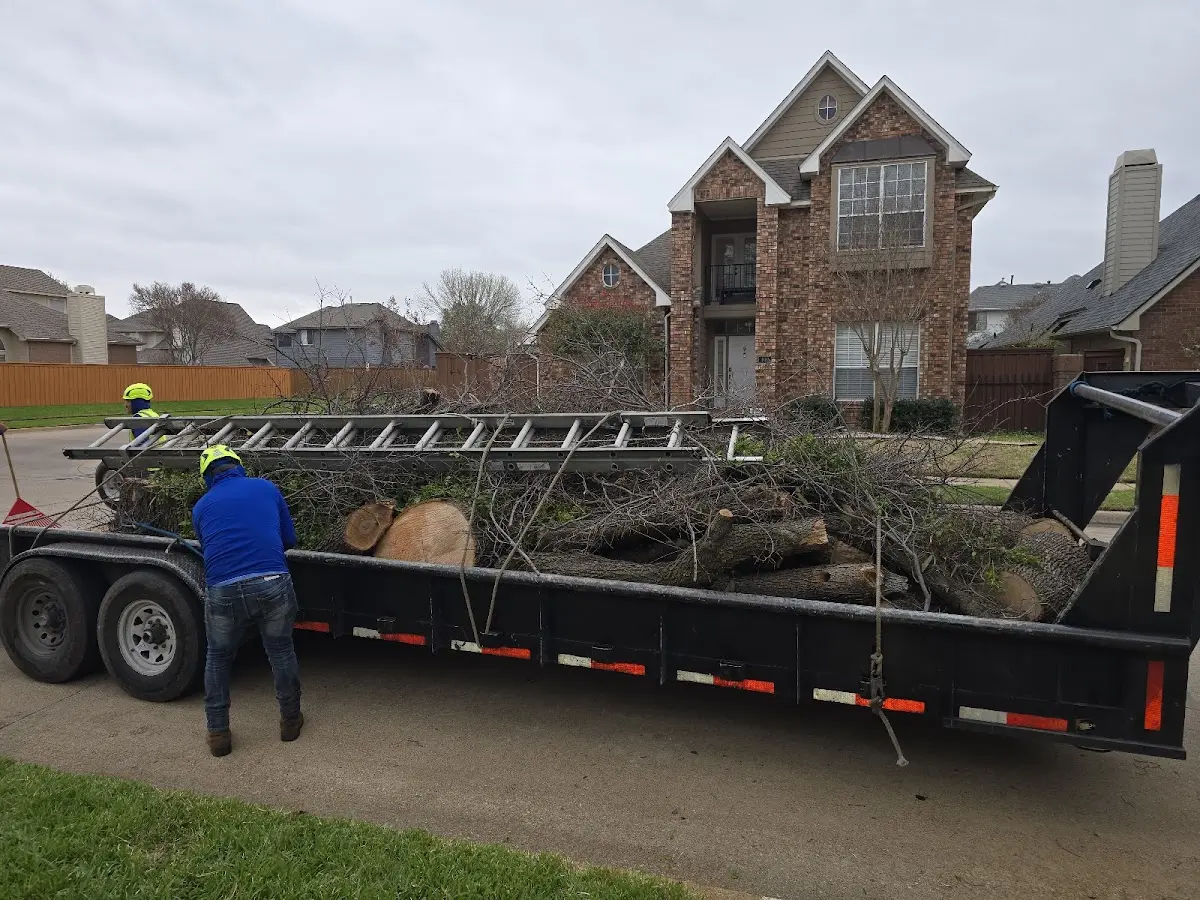 Expert Lot Clearing with proper safety equipment in Kennebunk